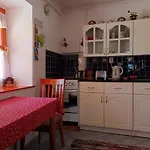 Tulipan Haz
