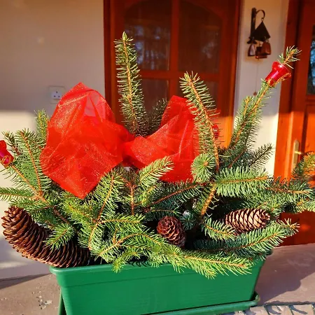 Tulipan Haz * Bodony