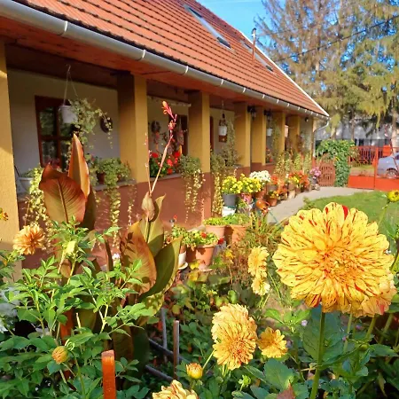 Tulipan Haz Apartmán Bodony