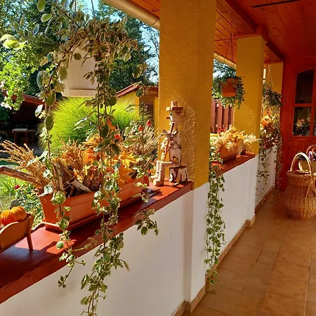 Tulipan Haz Apartmán
