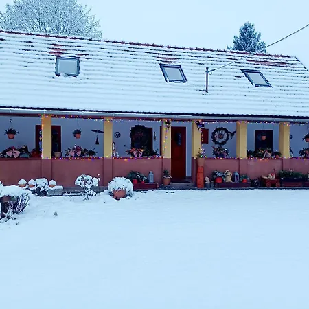 Tulipán Ház