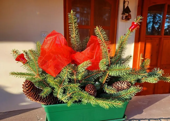 Tulipán Ház * Bodony
