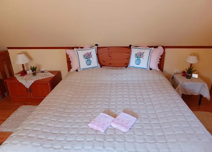 Tulipan Haz Apartmán