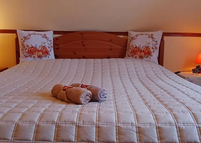 Tulipán Ház *